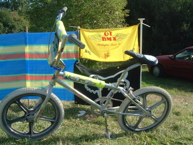 GT