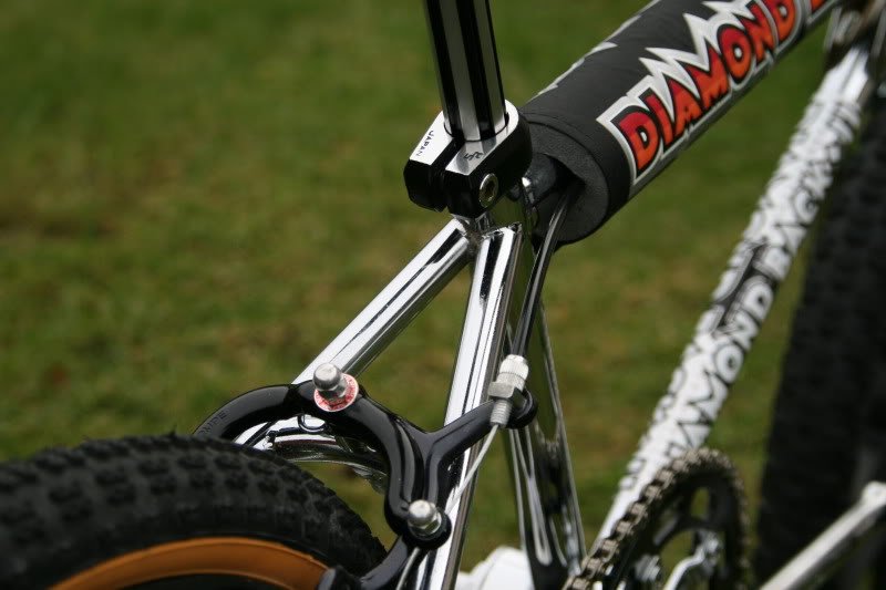 Diamondback