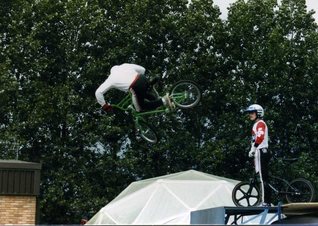 firebird freestyler