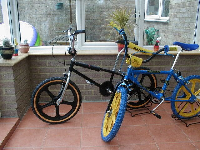 dp firebird bmx
