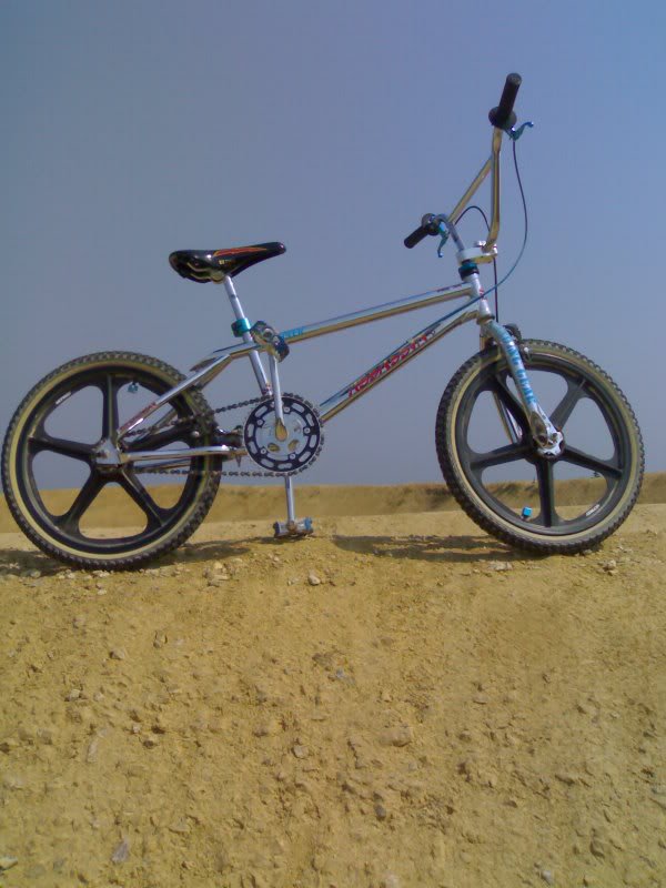 se assassin bmx bike