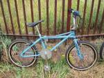 Quadindaylight.jpg